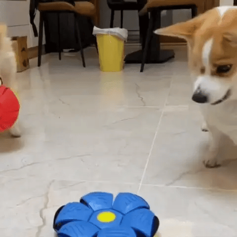 Pelota Magica Saltarina